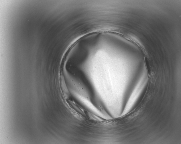 X0000063500948200602032014