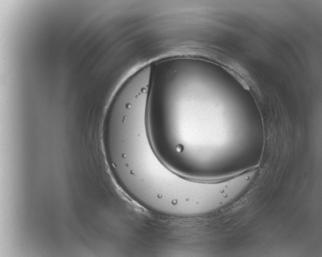 X0000063500950200602032014