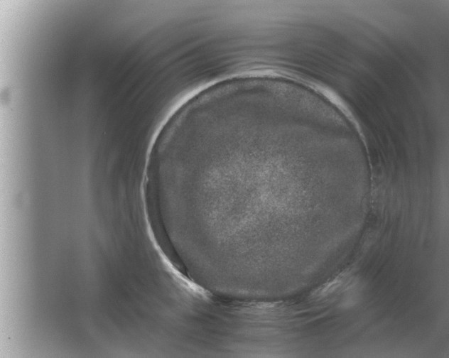 X0000063500951200602032014