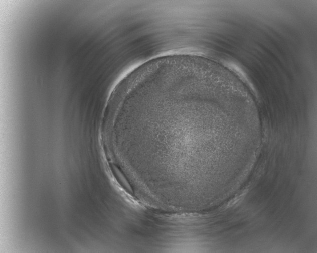 X0000063500952200602032014