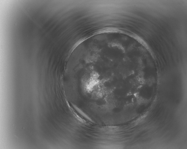 X0000063500953200602032014