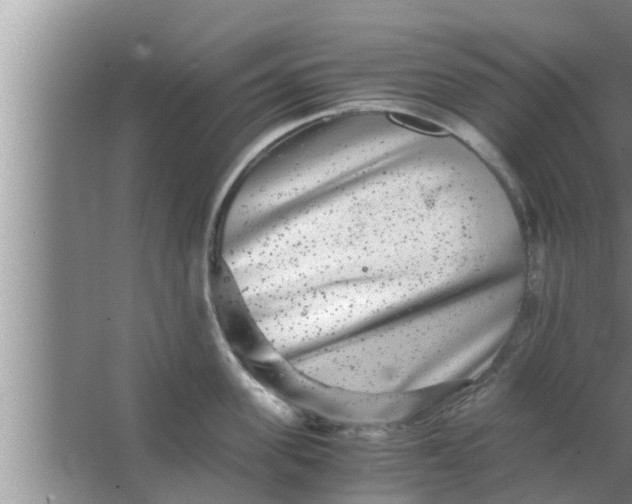 X0000063500955200602032014