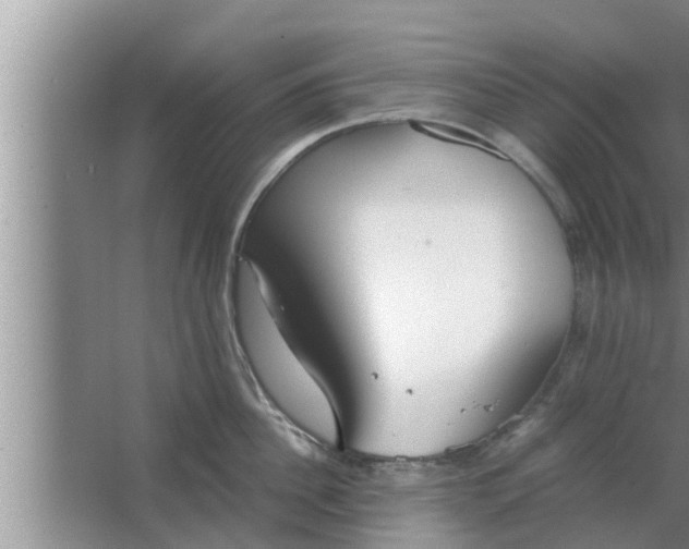 X0000063500956200602032014