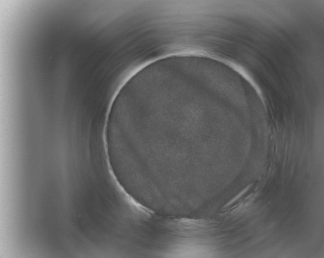 X0000063500959200602032014