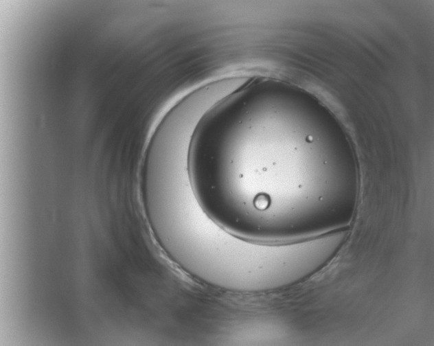 X0000063500960200602032014