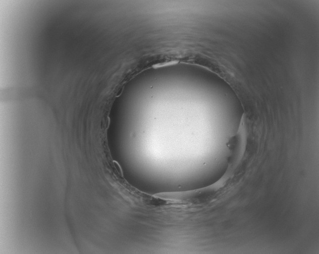 X0000063500961200602032013