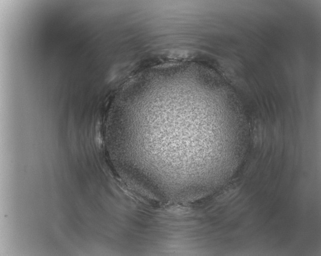 X0000063500962200602032013