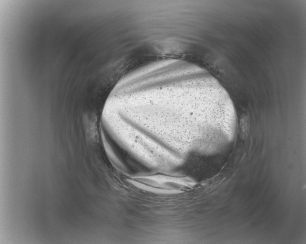 X0000063500963200602032013