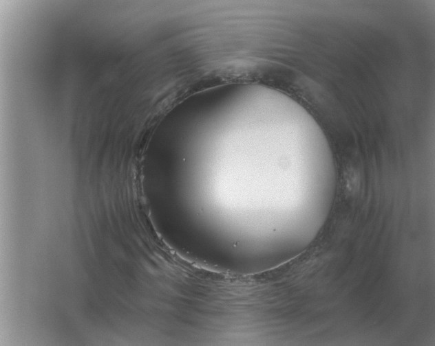 X0000063500964200602032013