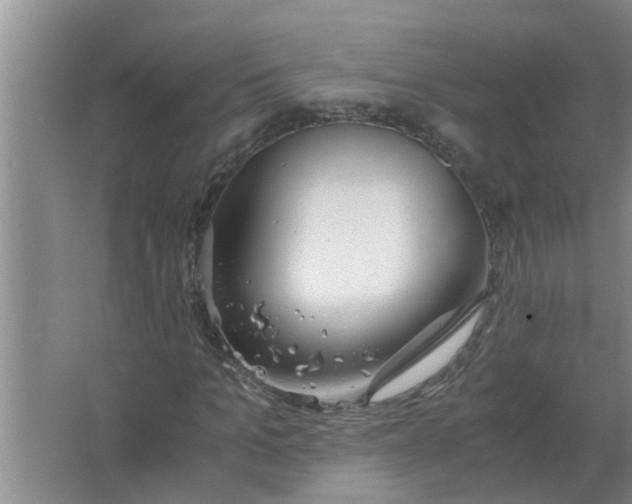 X0000063500965200602032013