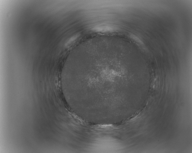 X0000063500966200602032013