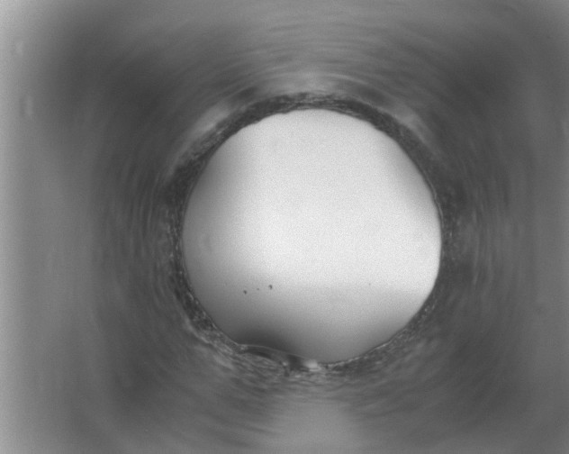 X0000063500967200602032013