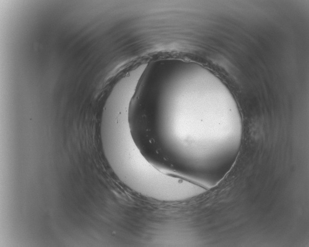 X0000063500968200602032013