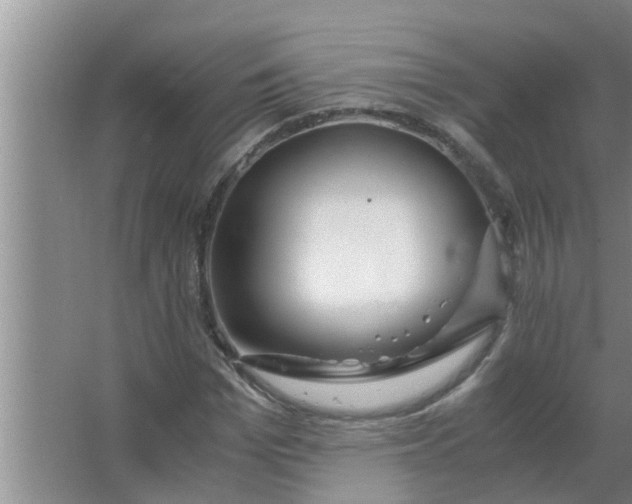 X0000063500969200602032013