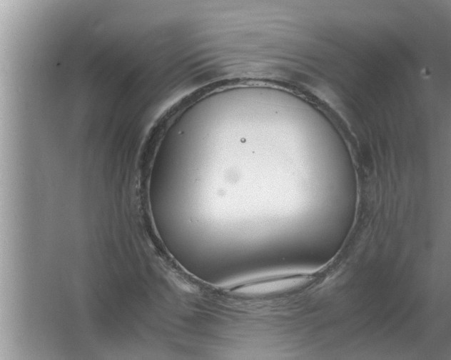 X0000063500971200602032013