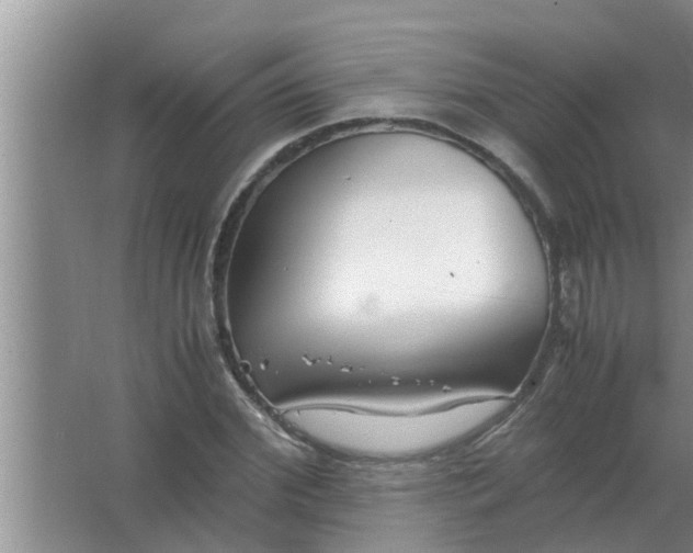 X0000063500972200602032013