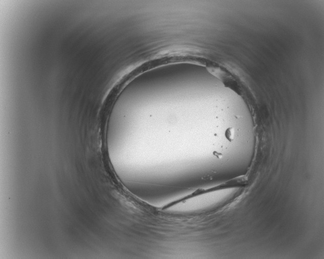 X0000063500973200602032013