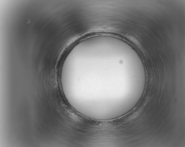 X0000063500974200602032013