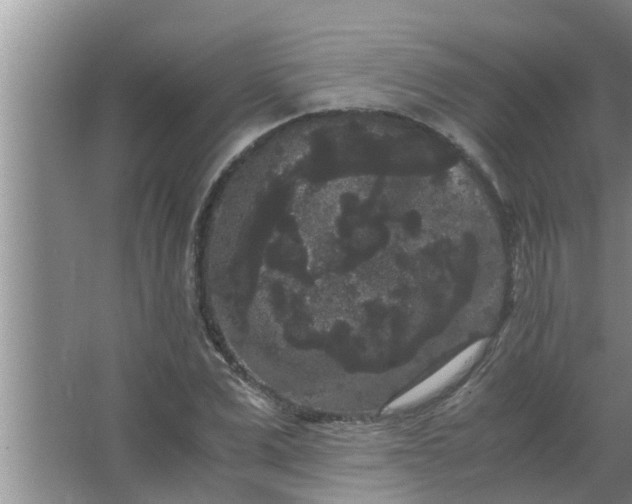 X0000063500975200602032013