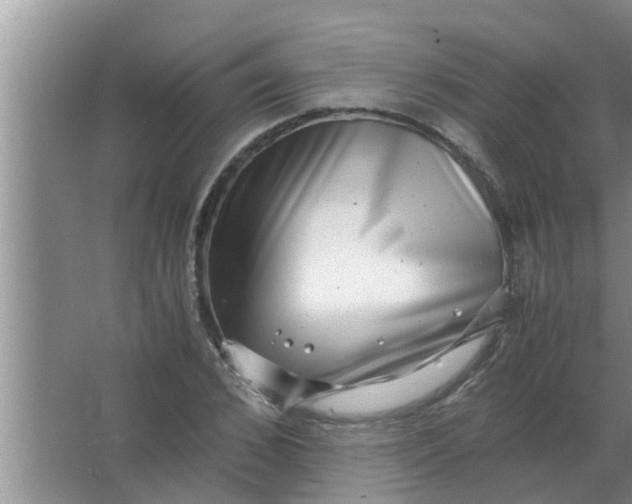 X0000063500976200602032013