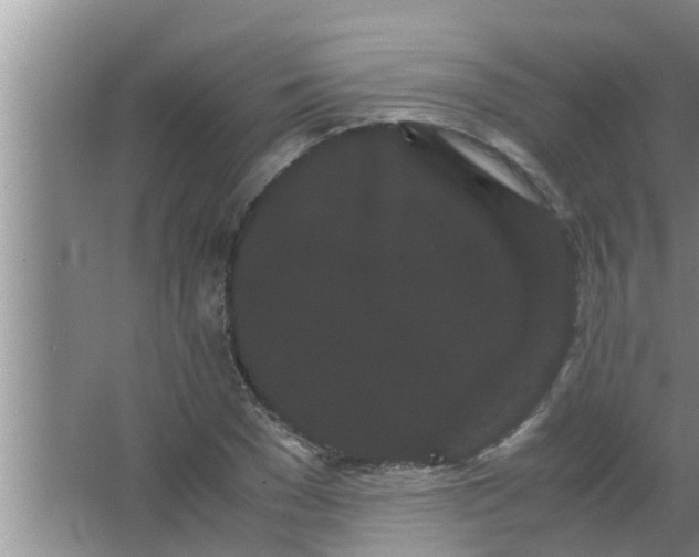 X0000063500977200602032013