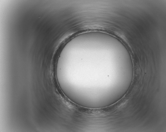 X0000063500979200602032013