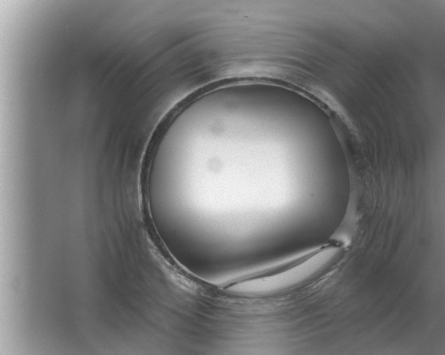 X0000063500980200602032013