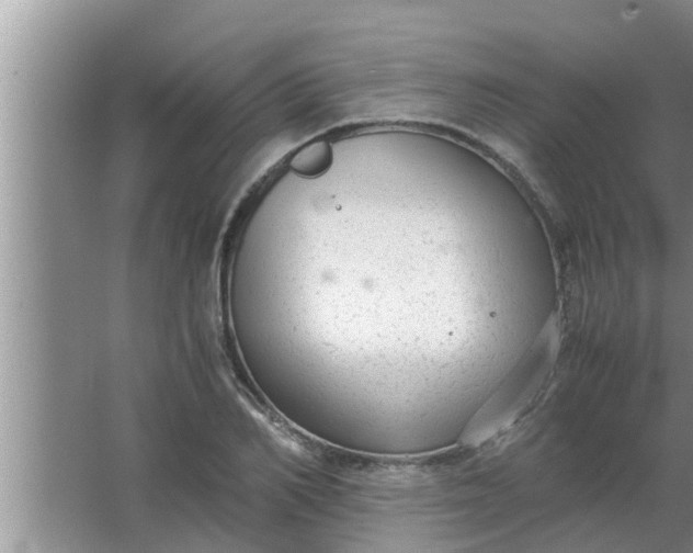 X0000063500982200602032013