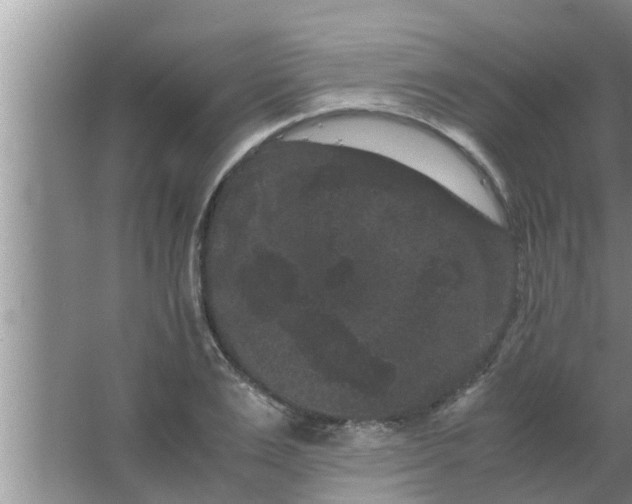 X0000063500983200602032013