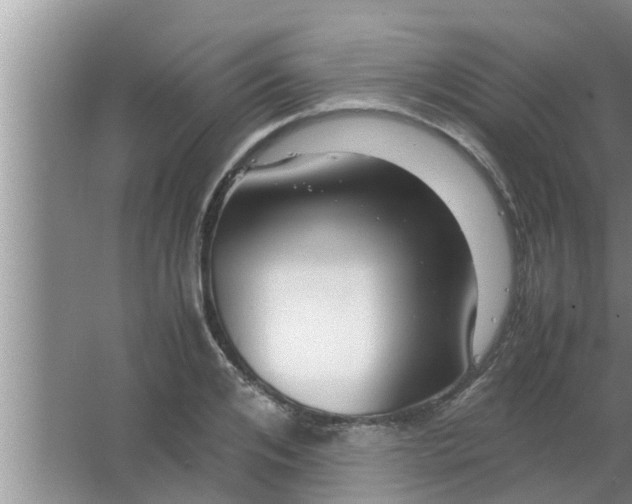 X0000063500984200602032013