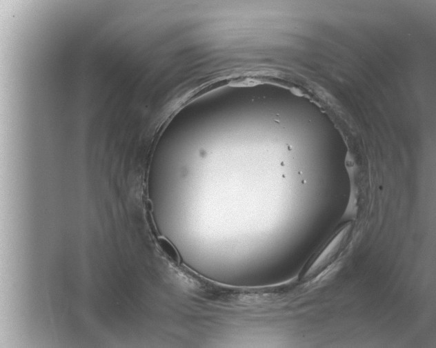 X0000063500985200602032013