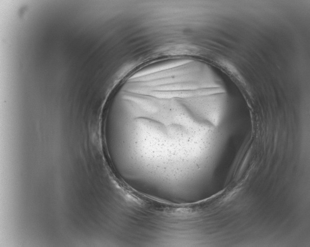 X0000063500986200602032013