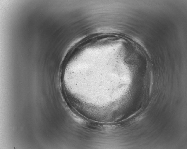 X0000063500987200602032013