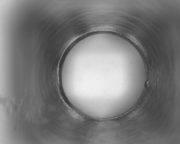 X0000063500988200602032013