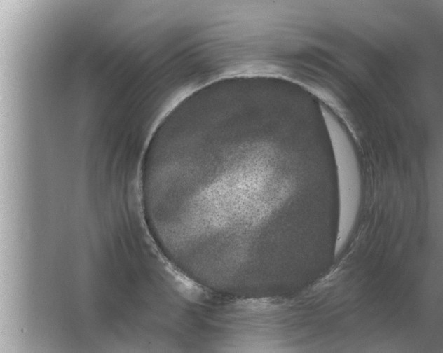 X0000063500990200602032013