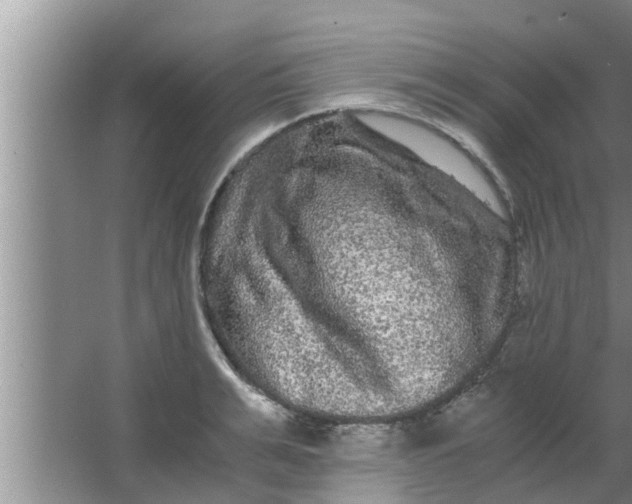 X0000063500991200602032013