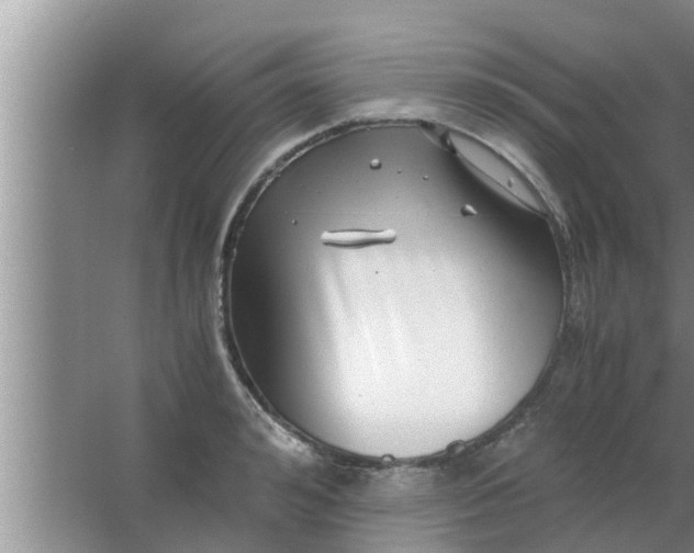 X0000063500992200602032013