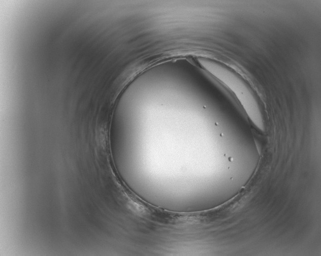 X0000063500993200602032013