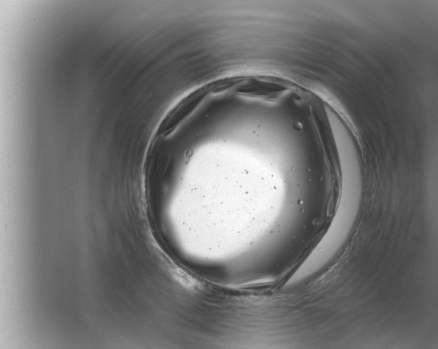 X0000063500996200602032013