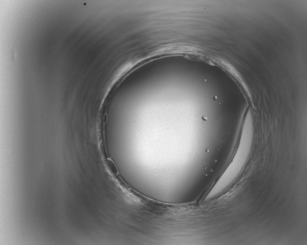 X0000063500997200602032013