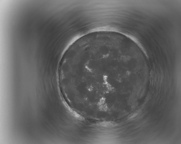 X0000063500998200602032013