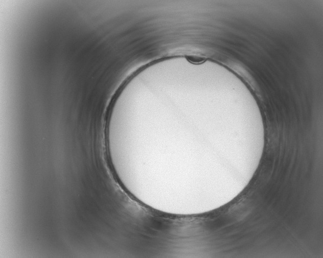 X0000063501000200602032013