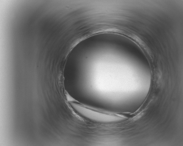 X0000063501001200602032013