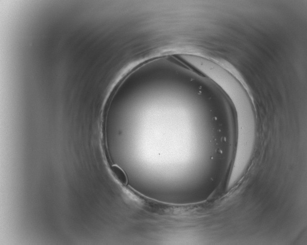 X0000063501005200602032012