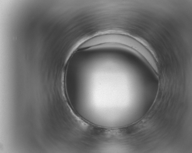 X0000063501006200602032012