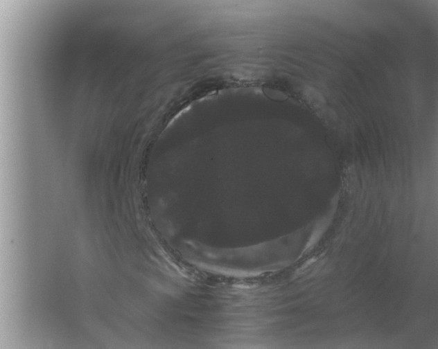 X0000063501009200602032012