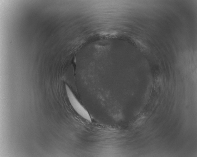 X0000063501010200602032012