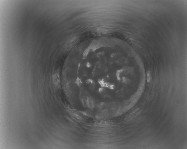 X0000063501011200602032012