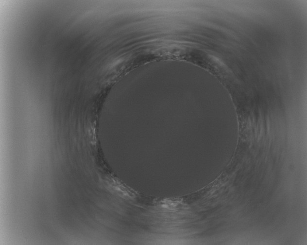 X0000063501013200602032012