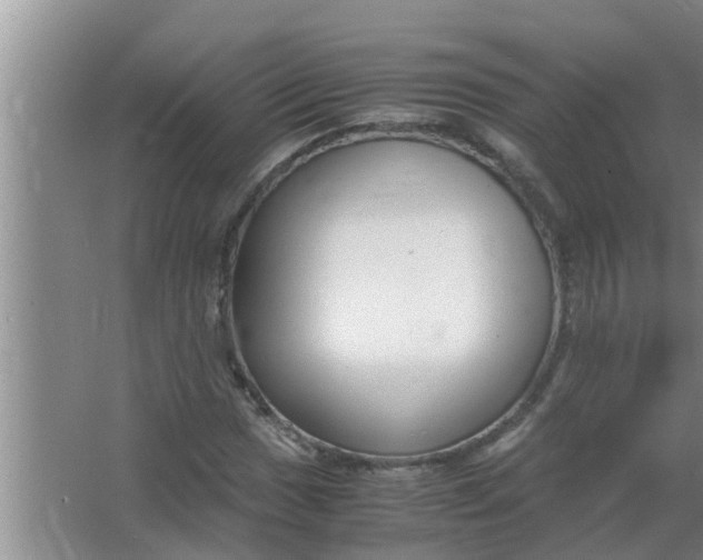 X0000063501017200602032012